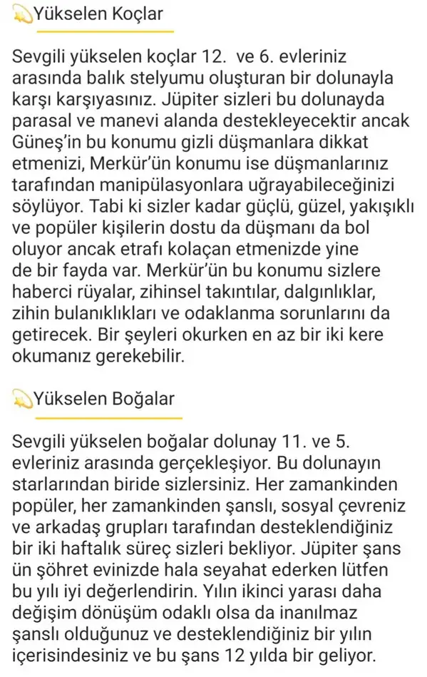 başak12 (2).webp