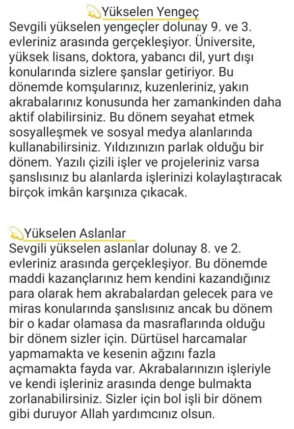 başak12 (4).webp