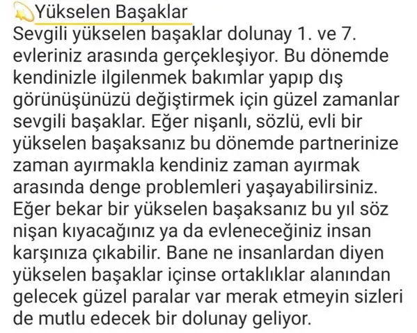 başak12 (5).webp