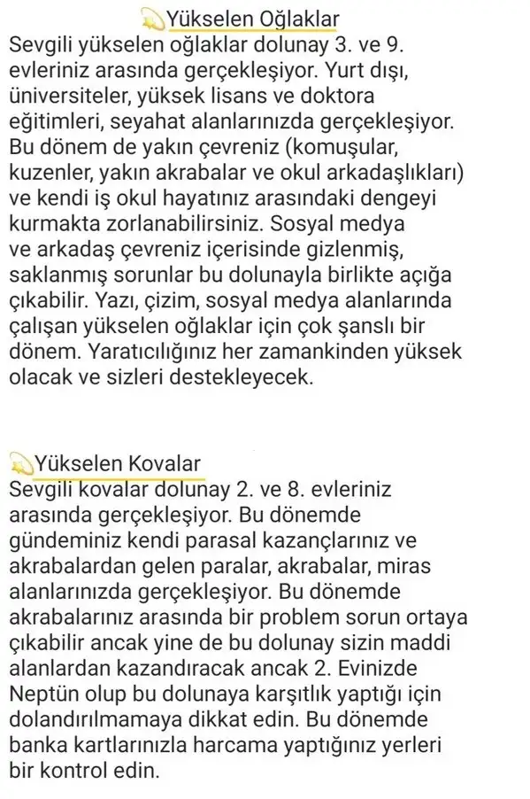 başak12 (8).webp