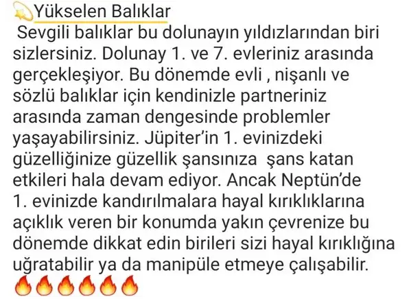 başak12 (9).webp