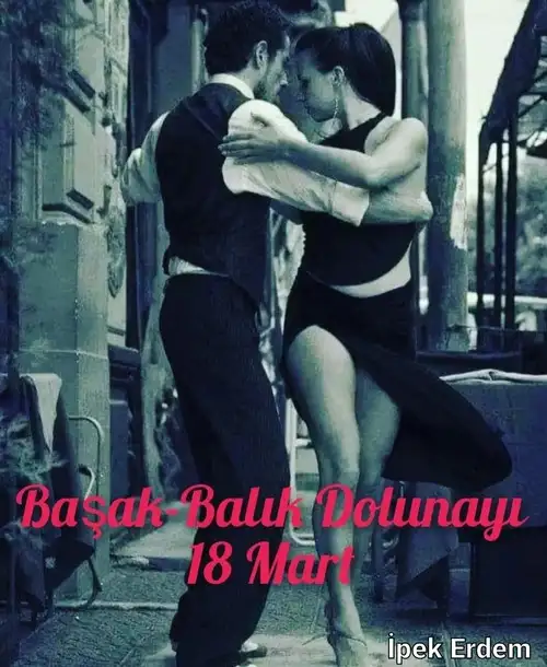 başak13 (1).webp
