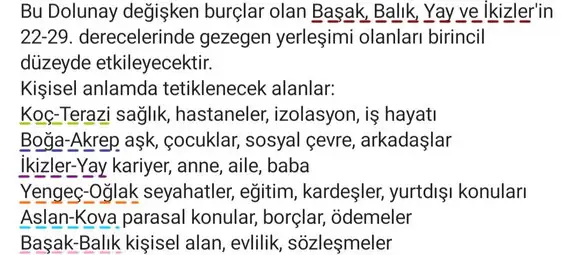 başak13 (2).webp