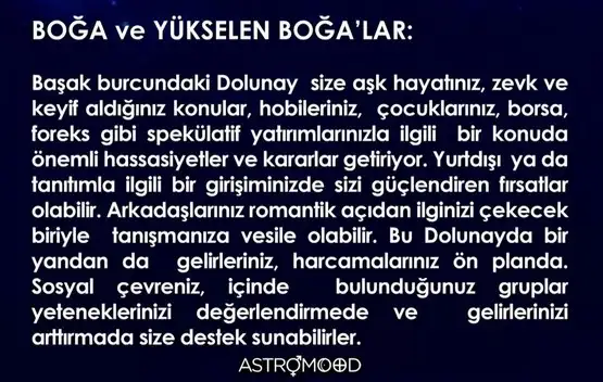 başak15 (2).webp
