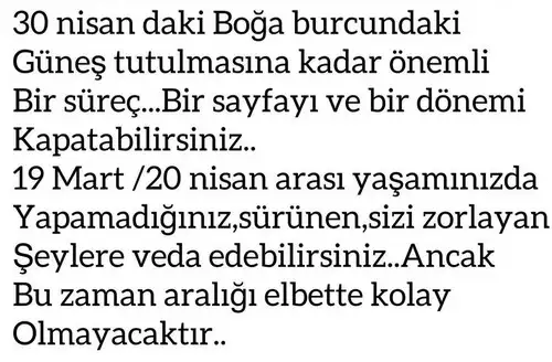 başak17 (2).webp