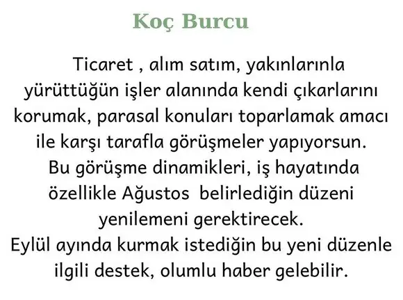 başak17 (2).webp