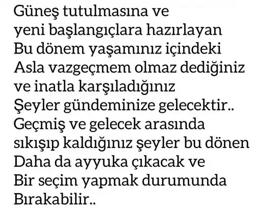 başak17 (3).webp