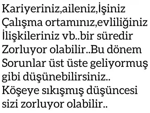 başak17 (5).webp