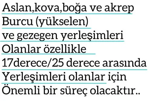 başak17 (6).webp