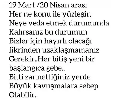 başak17 (7).webp