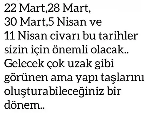başak17 (8).webp