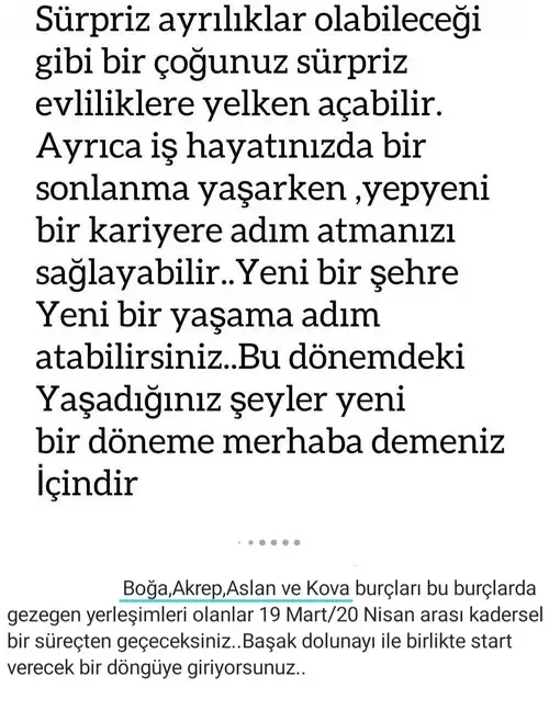başak17 (9).webp
