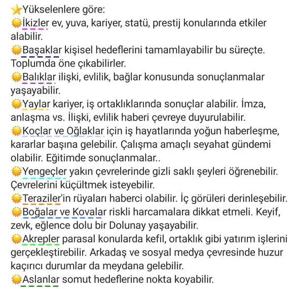 başak18 (2).webp