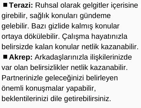 başak18 (5).webp