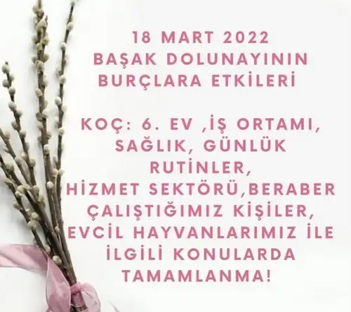 başak2 (1).webp