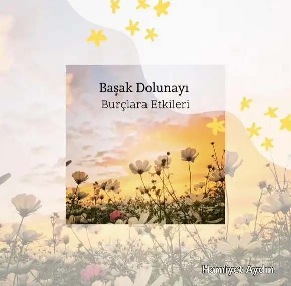 başak2 (1).webp
