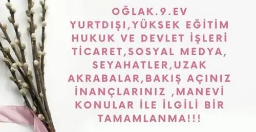 başak2 (10).webp