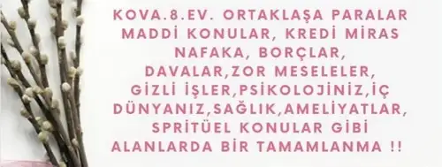 başak2 (11).webp