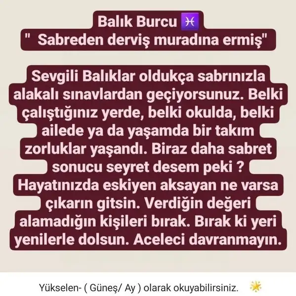 başak2 (13).webp