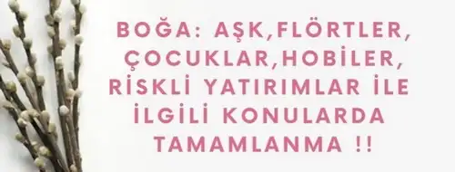 başak2 (2).webp