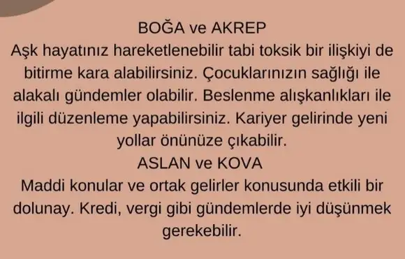 başak2 (3).webp
