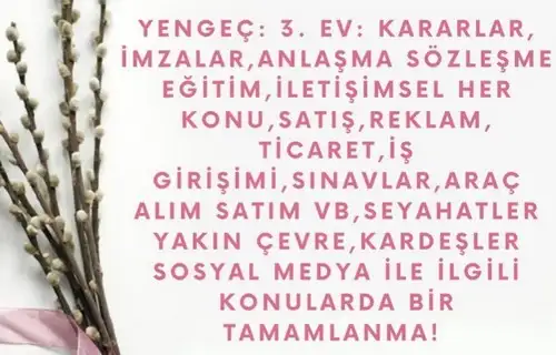 başak2 (4).webp