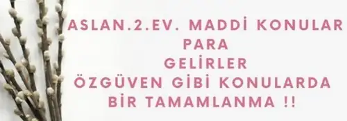 başak2 (5).webp