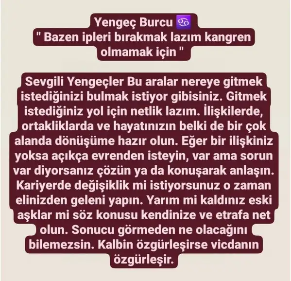 başak2 (5).webp