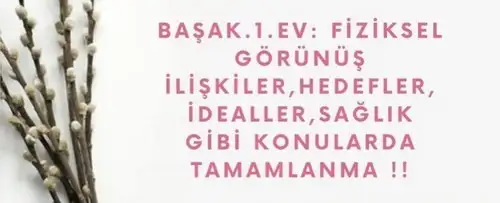 başak2 (6).webp
