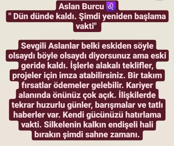 başak2 (6).webp