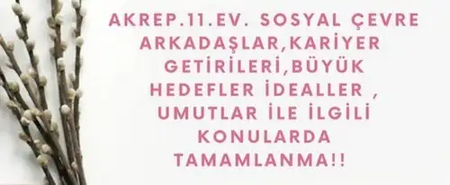 başak2 (8).webp