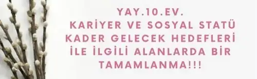 başak2 (9).webp