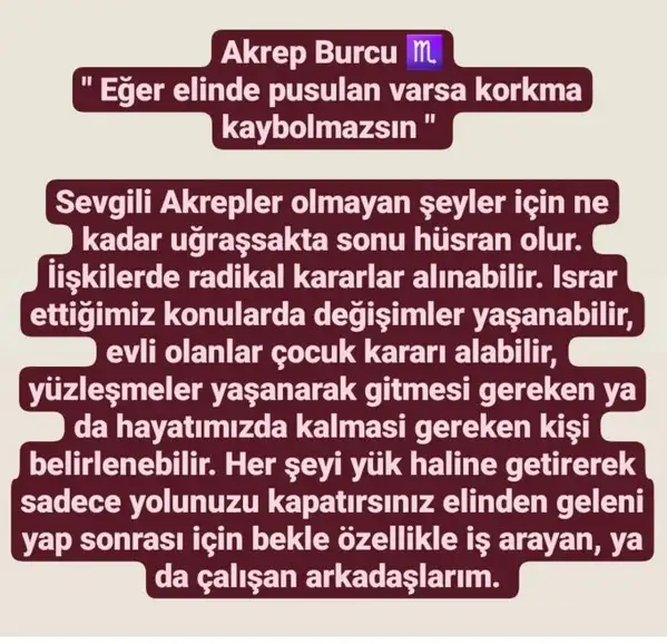 başak2 (9).webp