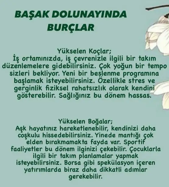 başak20 (1).webp