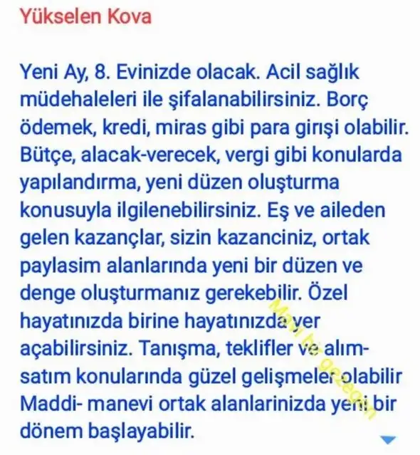 başak20 (12).webp
