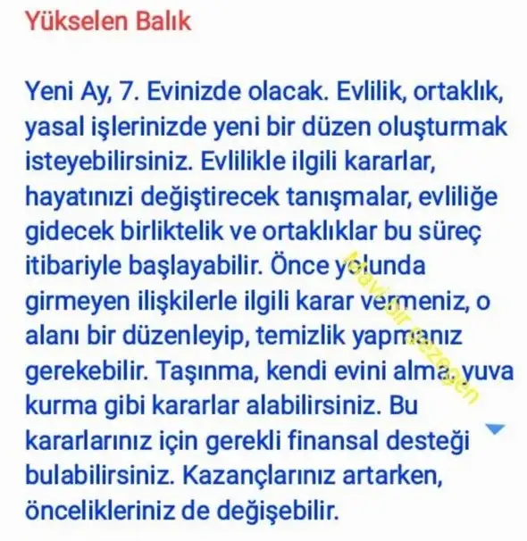 başak20 (13).webp