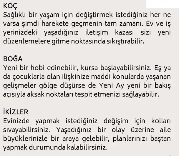 başak20 (15).webp