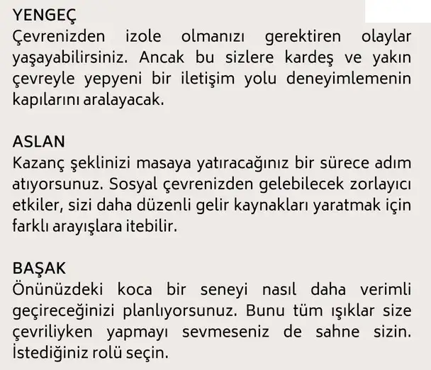 başak20 (16).webp