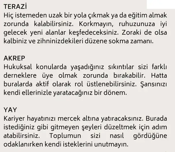 başak20 (17).webp