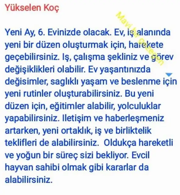 başak20 (2).webp