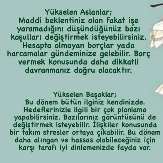başak20 (3).webp