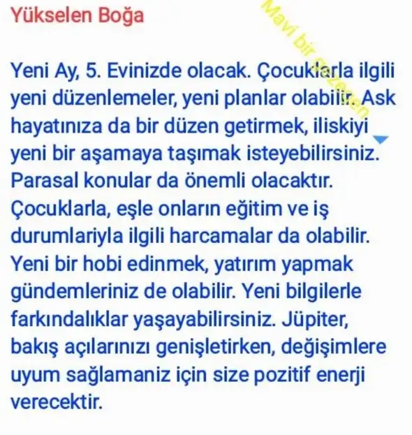 başak20 (3).webp