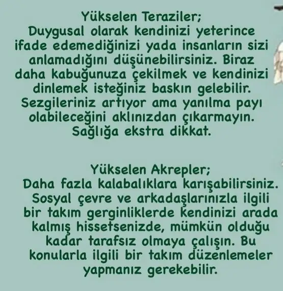 başak20 (4).webp
