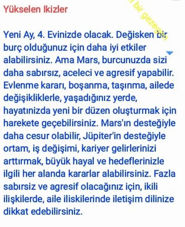 başak20 (4).webp