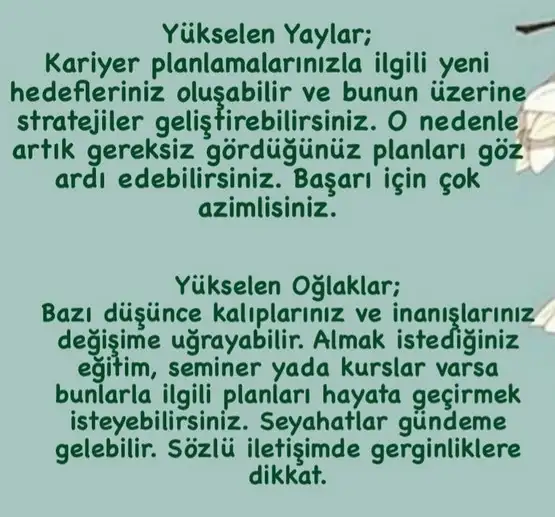 başak20 (5).webp
