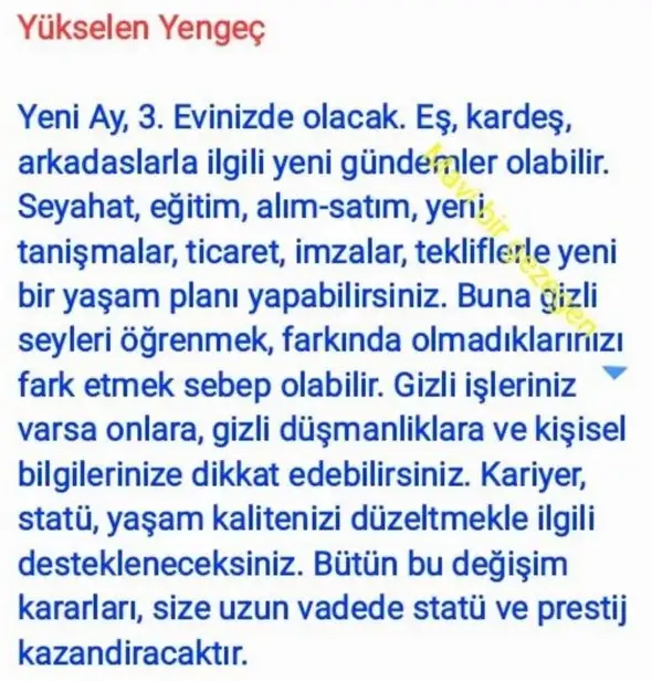 başak20 (5).webp