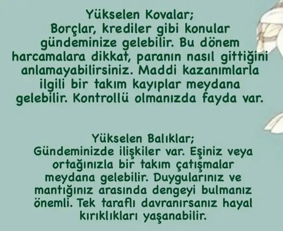başak20 (6).webp