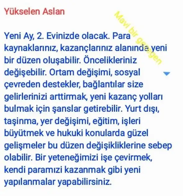 başak20 (6).webp