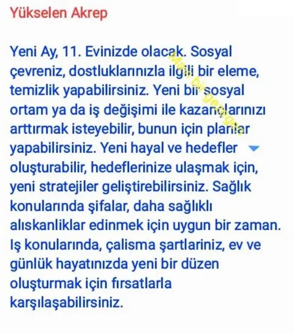 başak20 (9).webp
