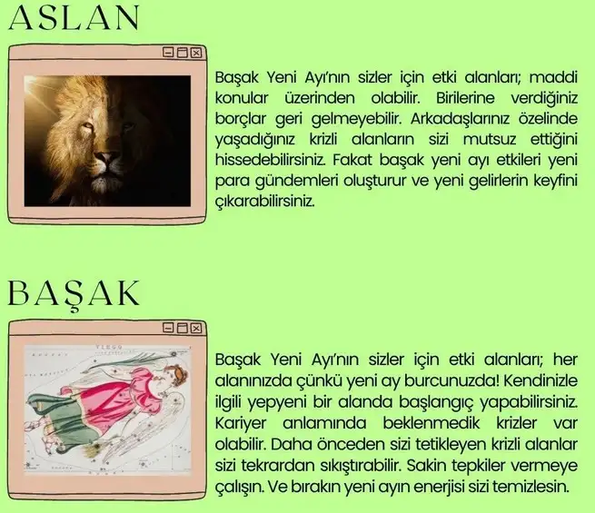 başak21 (5).webp